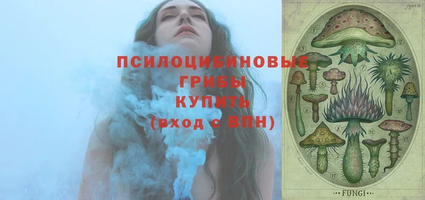 хмурый Анива