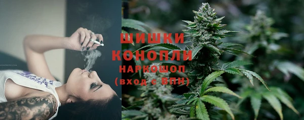 молекула духа Белоозёрский