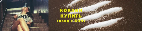 прущие крисы Белокуриха