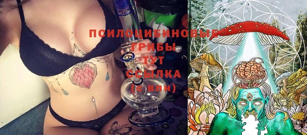 прущие крисы Белокуриха
