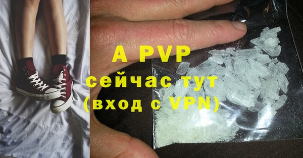 прущие крисы Белокуриха