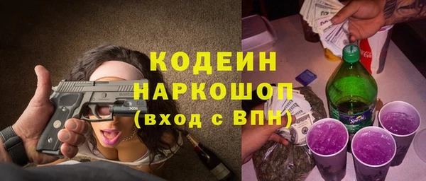 молекула духа Белоозёрский