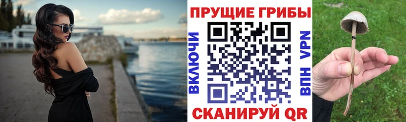 Псилоцибиновые грибы MAGIC MUSHROOMS  купить наркотики сайты  Белоусово 
